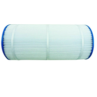 Astral/Zodiac ZX100/ZCF100 Cartridge Filter Element Pool & Spa - Magnum 