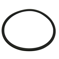 Astral Hurlcon Pump Lid Oring - TX CX CTX E Series P280 P230 Gasket Oring