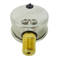 New Pool Filter Pressure Gauge Side Mount Aussie Gold Wika S/S - Sand & Cartridge Filters