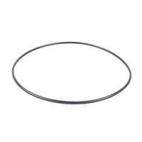Astral Hurlcon ZX Filter Cartridge Lid O Ring oring Pool