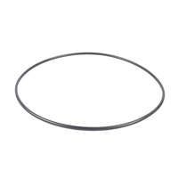 Genuine Astral Hurlcon ZX Filter Cartridge Lid O Ring oring Pool