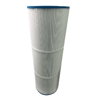 Insnrg Ci 200 Sqft Genuine Pool Filter Cartridge Element