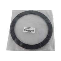 Poolrite MPV Flange Gasket Smart Valve 2000 Tank to MPV Flange Gasket 22199