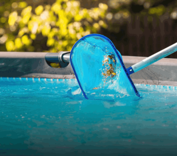 Pool Maintenance