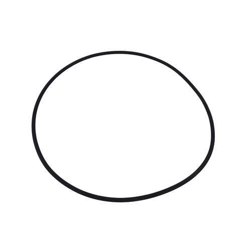 Astral Hurlcon ZX Filter Cartridge Lid O Ring oring Pool